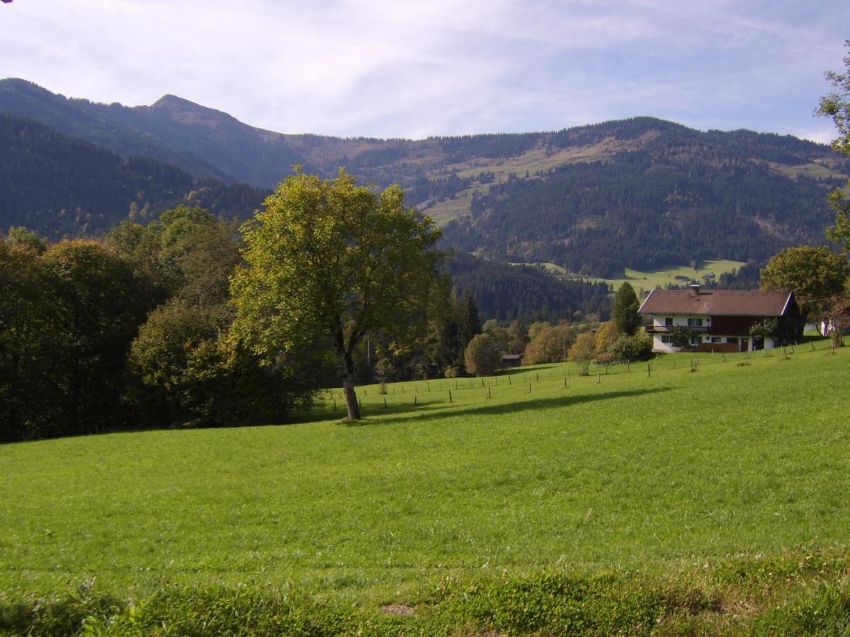 Schrandl Apartment Penningberg Hopfgarten im Brixental Extérieur photo