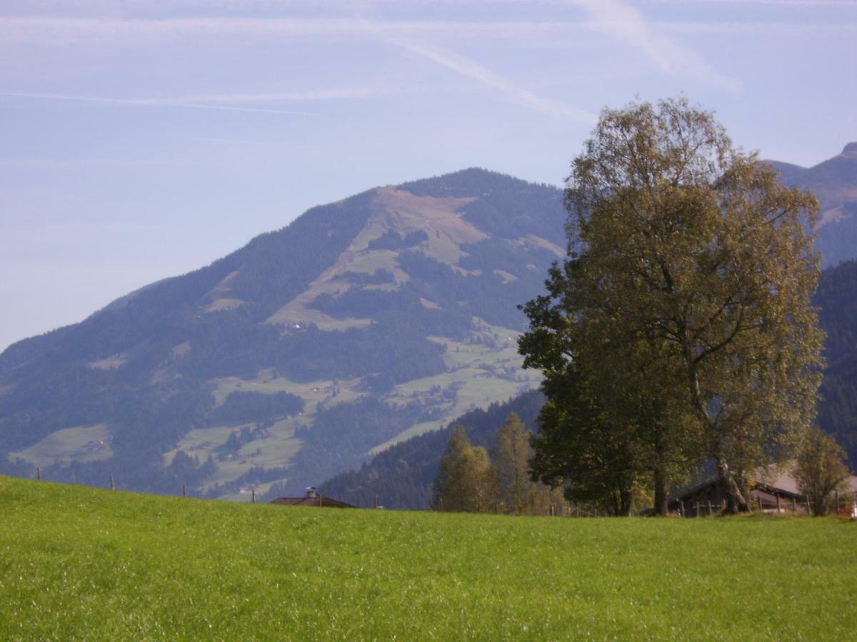 Schrandl Apartment Penningberg Hopfgarten im Brixental Extérieur photo